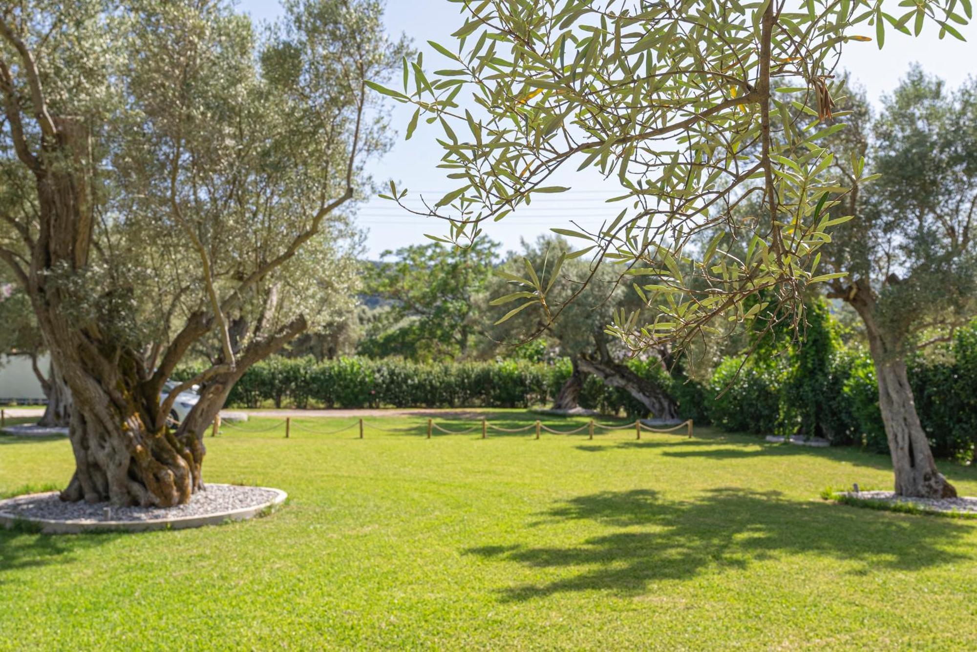 Elaia - Apartments & Studios Lefkáda Dış mekan fotoğraf