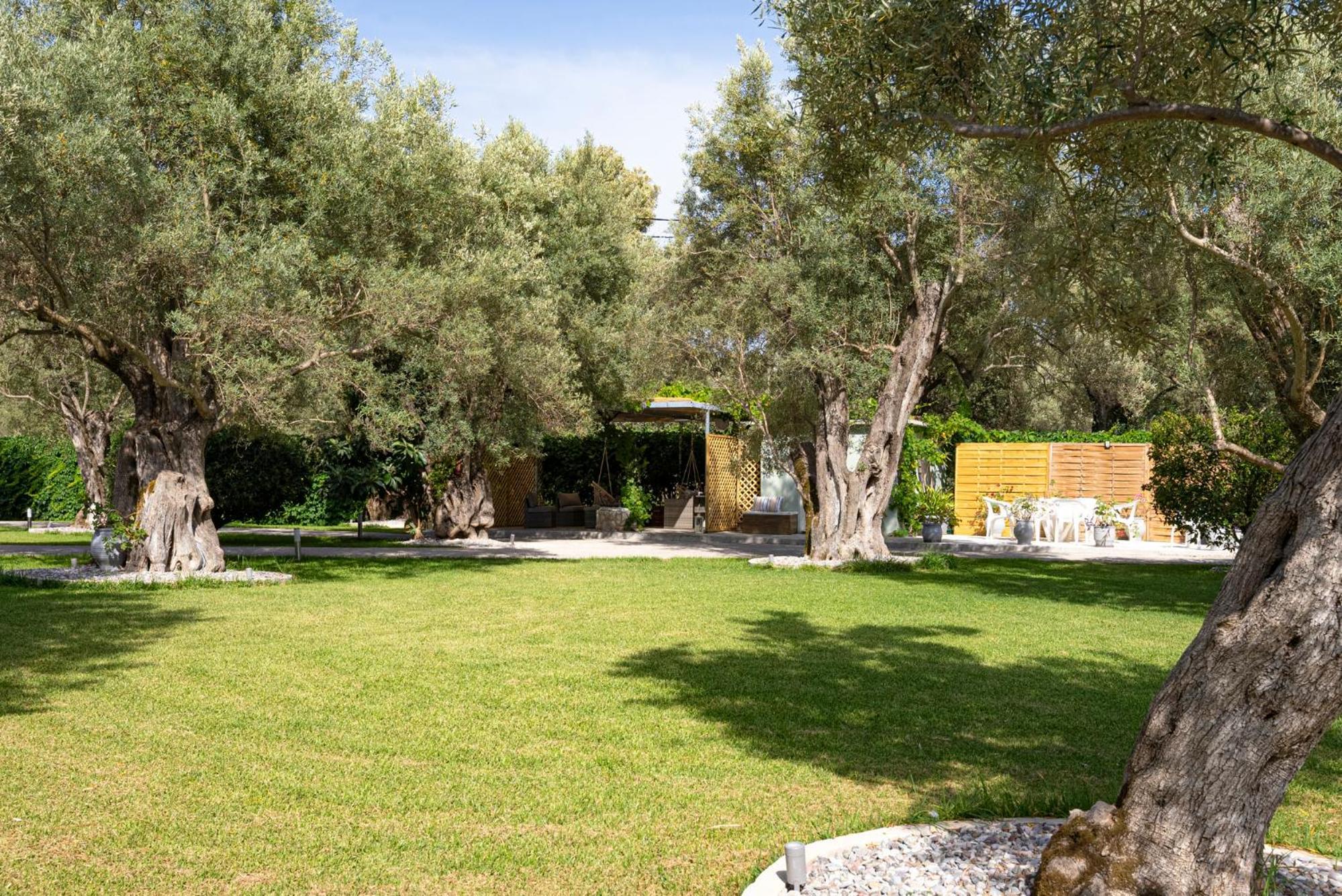 Elaia - Apartments & Studios Lefkáda Dış mekan fotoğraf