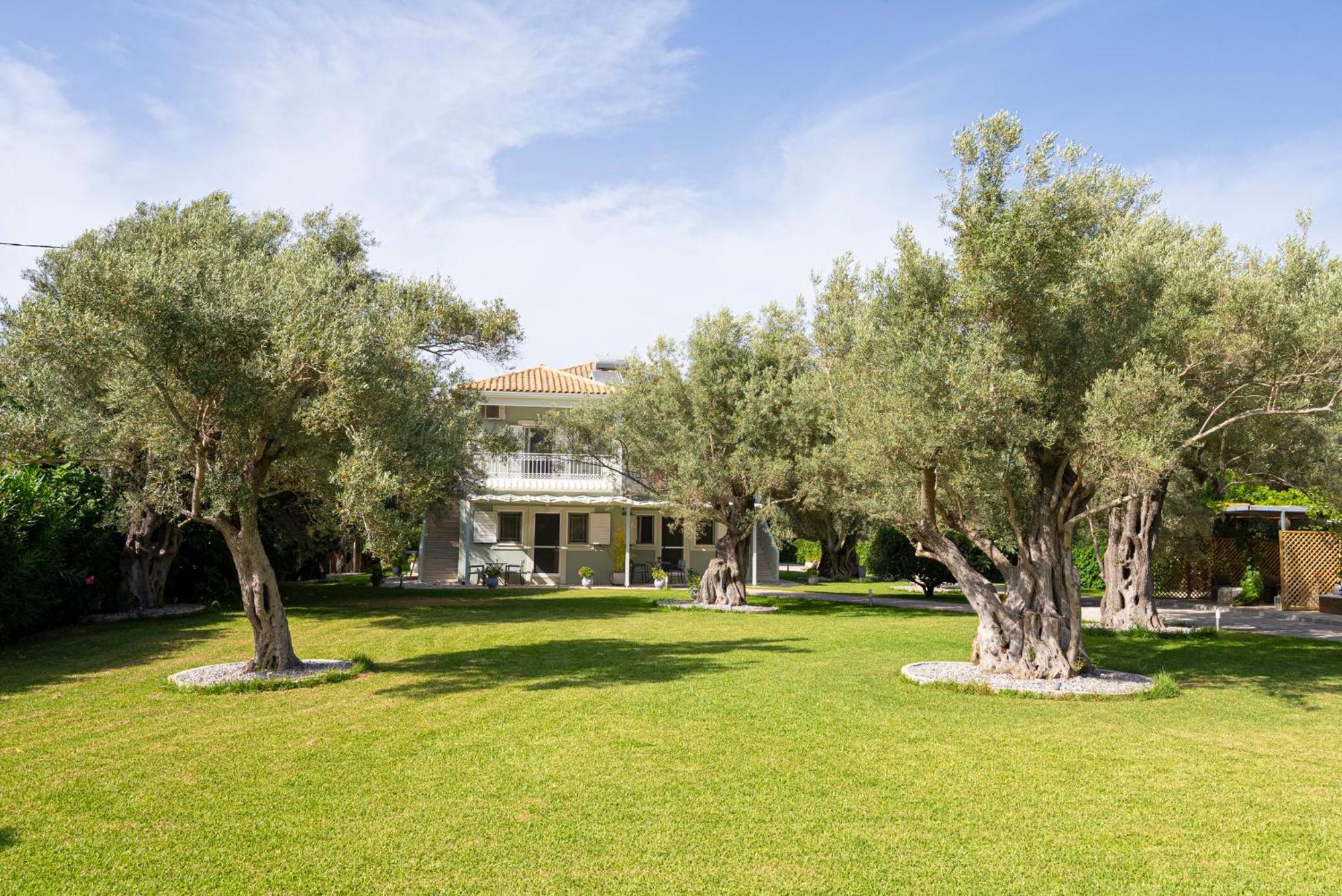 Elaia - Apartments & Studios Lefkáda Dış mekan fotoğraf