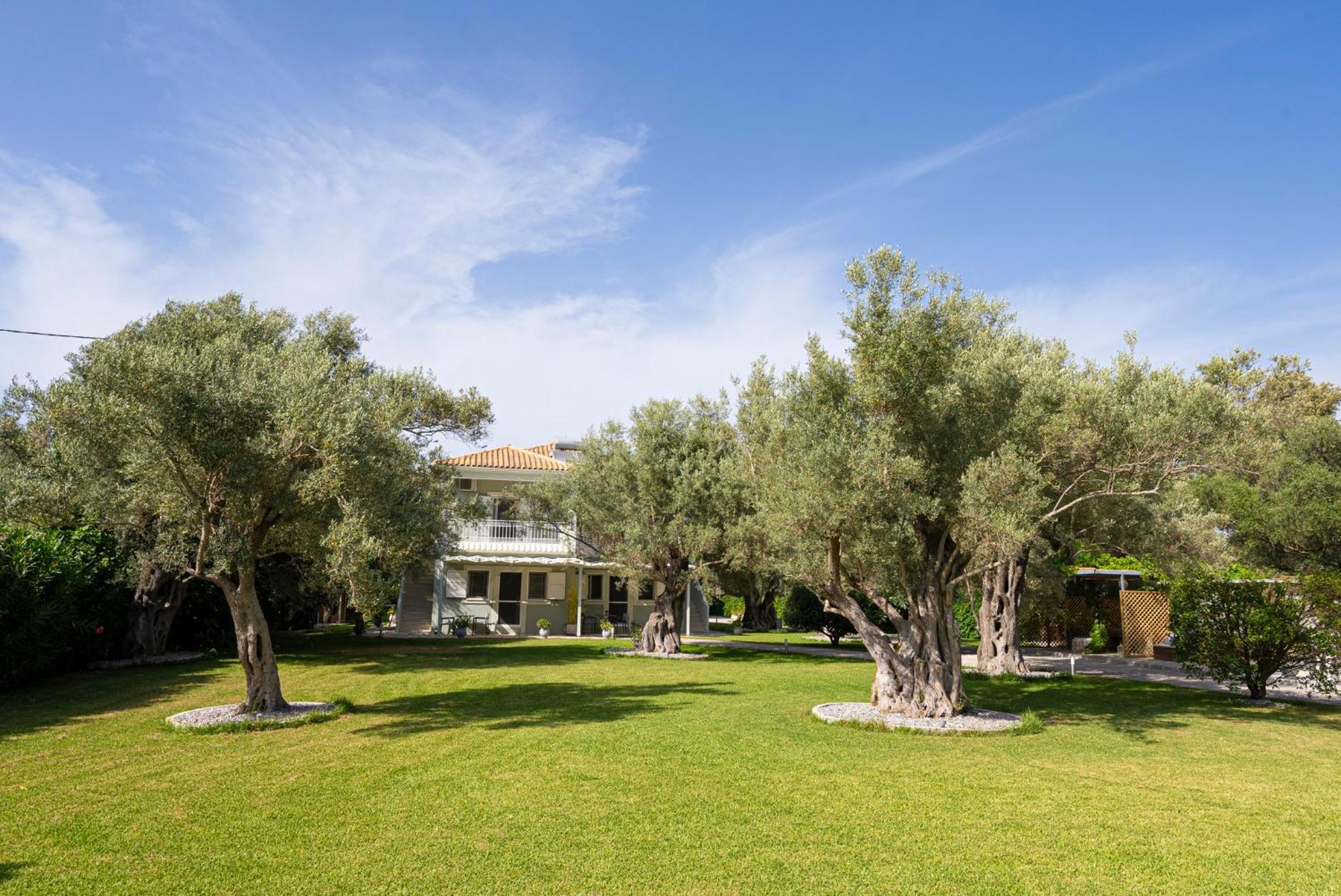 Elaia - Apartments & Studios Lefkáda Dış mekan fotoğraf