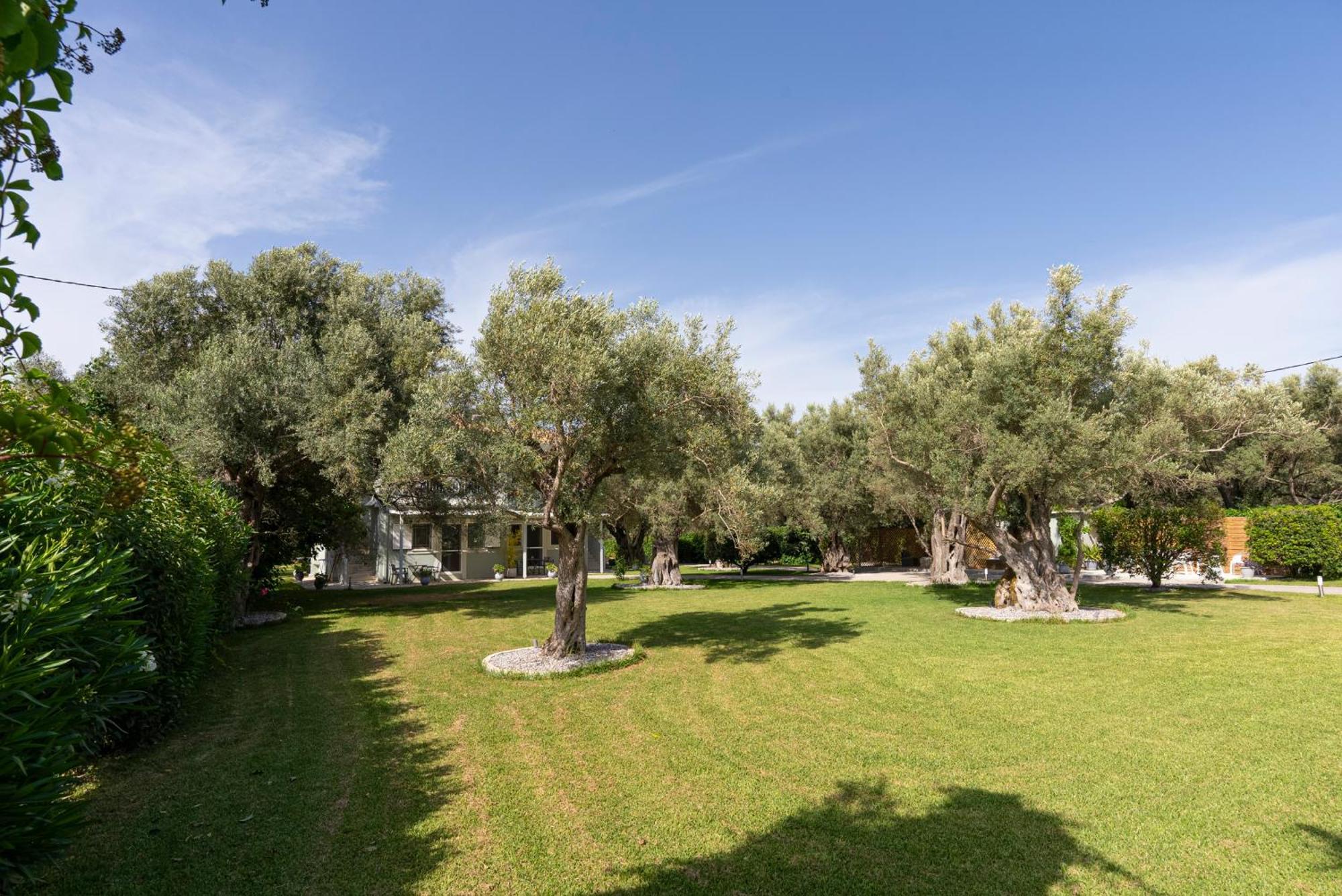Elaia - Apartments & Studios Lefkáda Dış mekan fotoğraf