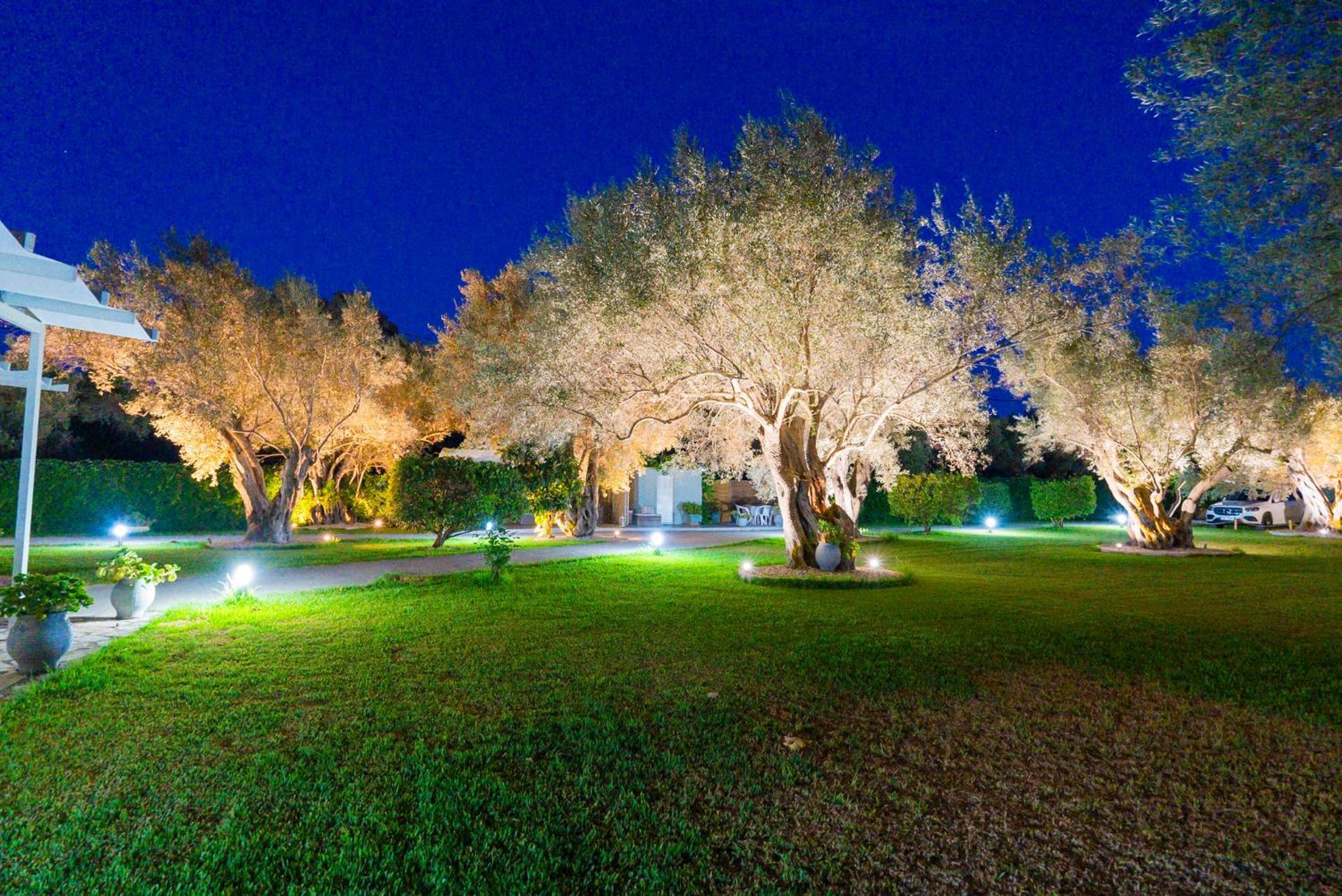 Elaia - Apartments & Studios Lefkáda Dış mekan fotoğraf